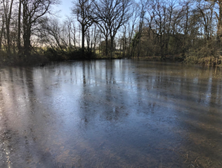 Planning Achieved Using Water Credits