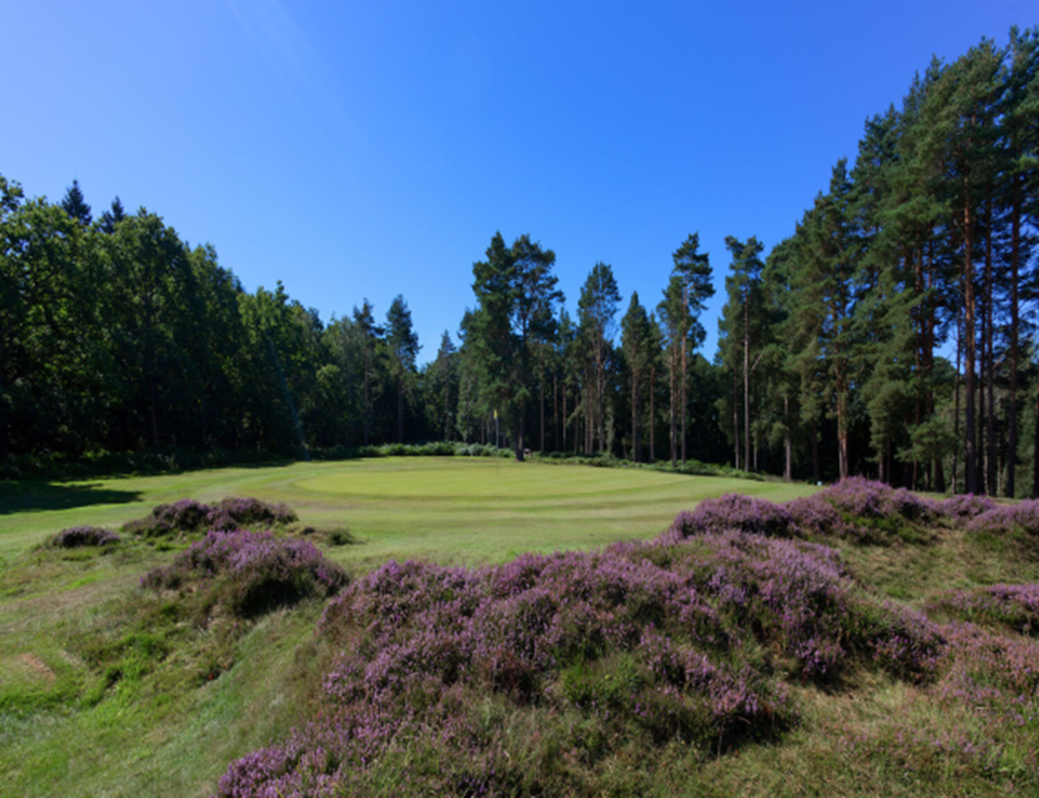 Water Borehole at Royal Ashdown Forest Golf Club